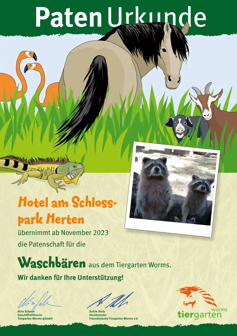 Lächelnder Waschbär im Foto, umgeben von bunten Tieren auf grüner Urkunde